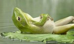 relaxed relaxed