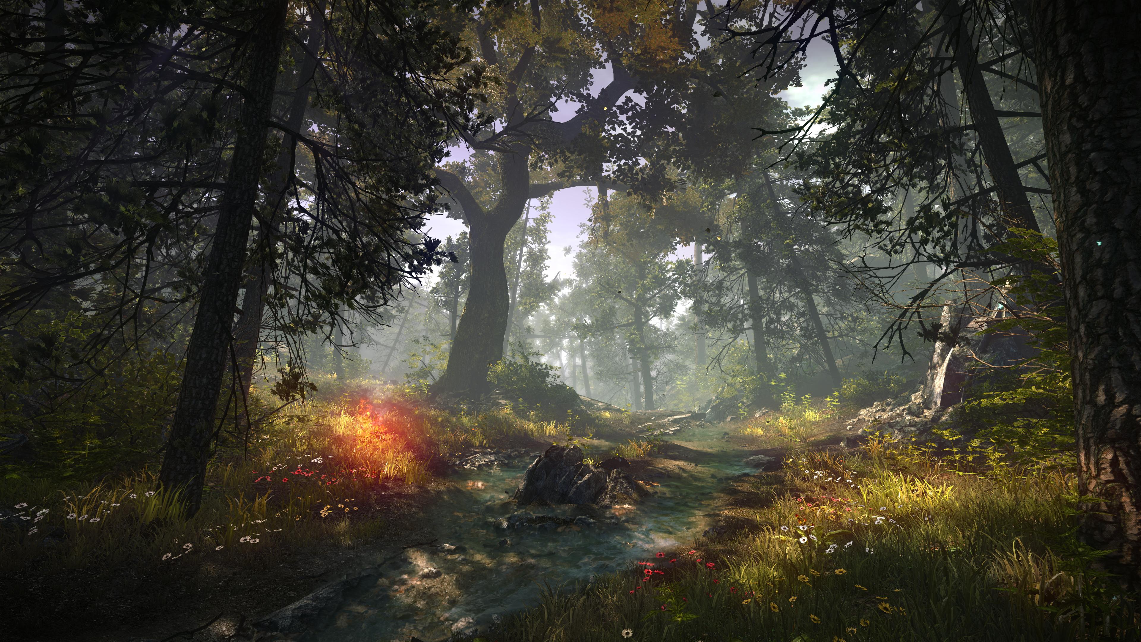 Act_3_A_Path_In_The_Forrest.jpg